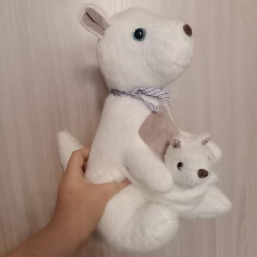 Кенгуру с малышом