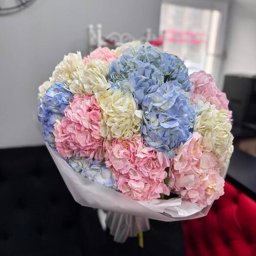 Нежное Облако гортензий