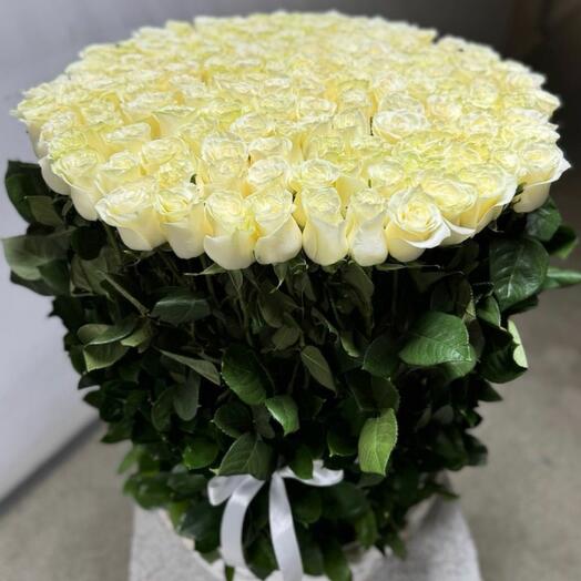 101 white roses in a basket