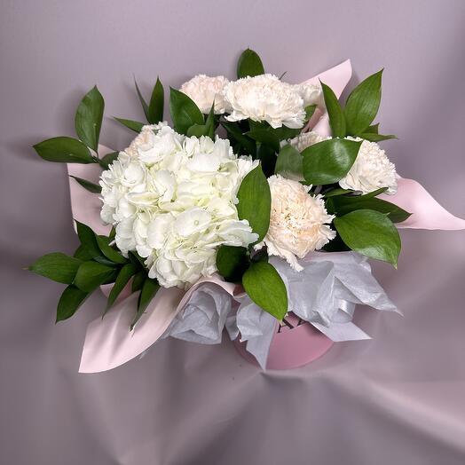 🌸Гортензия в коробке