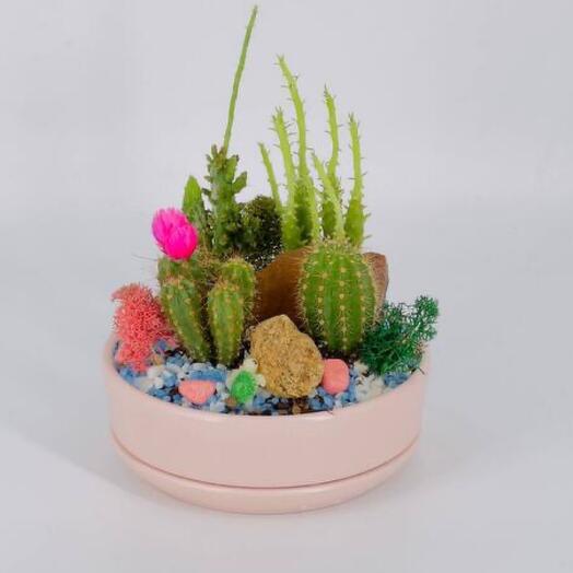 Cactus bowl with fresh flowers