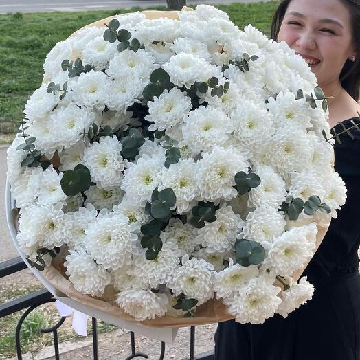 Стойкие Хризантемы