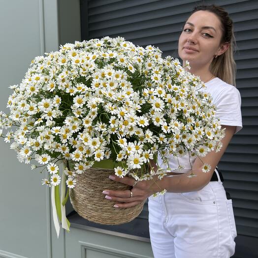Корзина с ромашками
