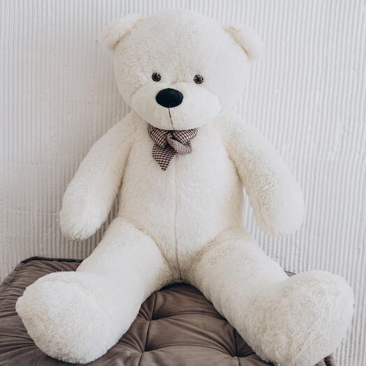 Large white teddy bear 180 cm
