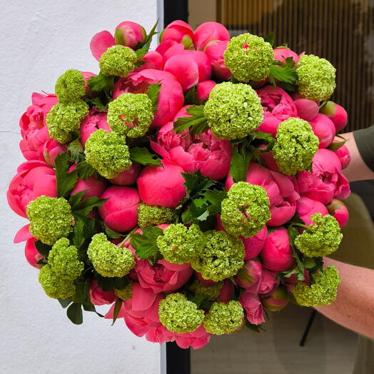 Peonias coral