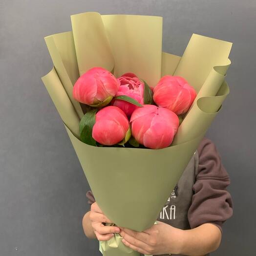 Пионы коралловые ХИТ