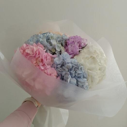 Микс из 7 гортензий