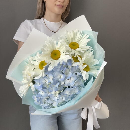 Букет из 5 Ромашек и Гортензии