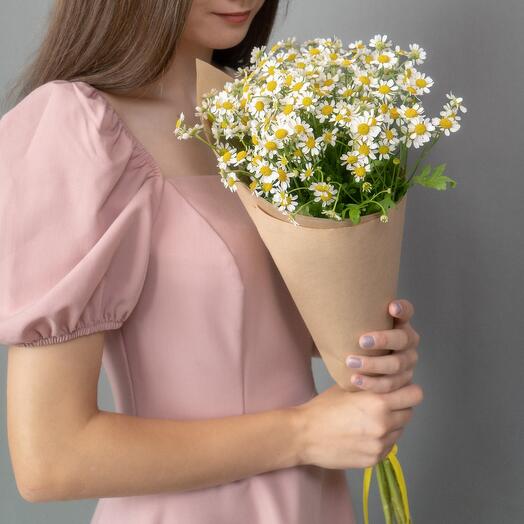 A field bouquet of fragrant chamomile