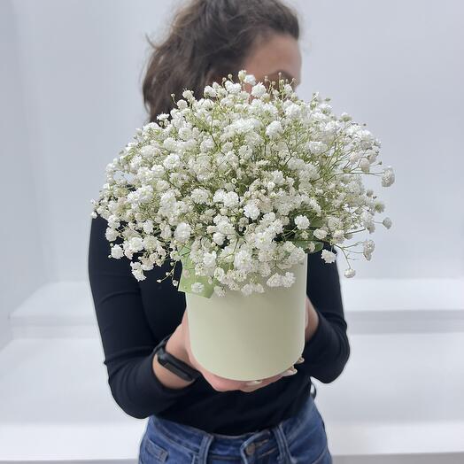 Шляпная коробка белой гипсофилы