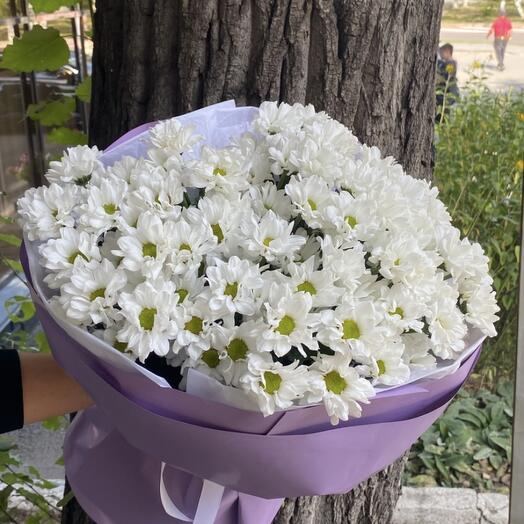 Ромашковое облачко