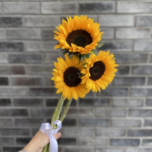 Милый комплимент из 3х подсолнухов🌼