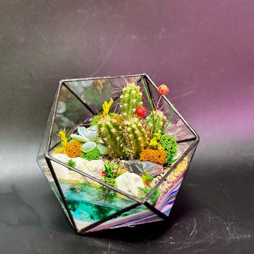 Флорариум в геометрической форме «Радость»