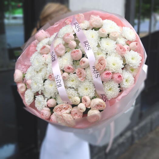 Хризантемы Евро