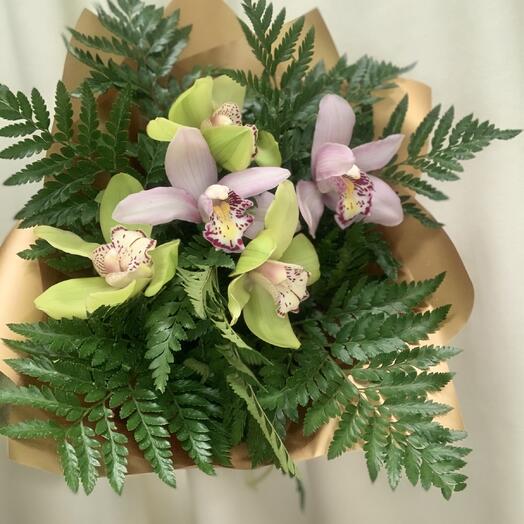 Папоротник