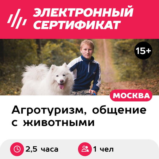 Подарочный сертификат Индив. дог-трекинг и экскурсия в мини-зоопарк, 1 взрослый (2,5 часа)