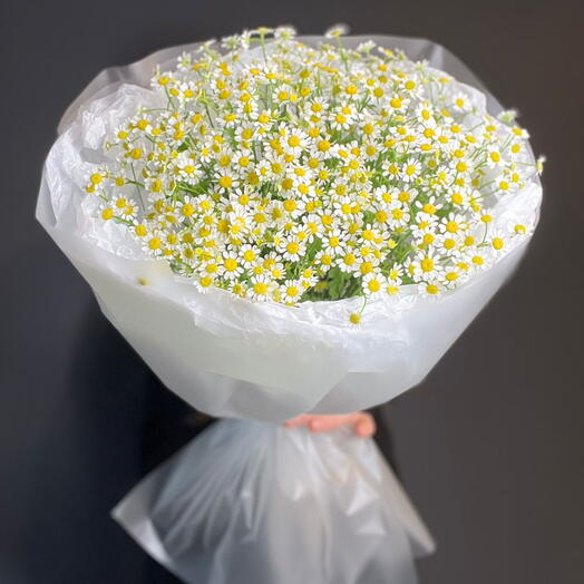 Букет ромашки