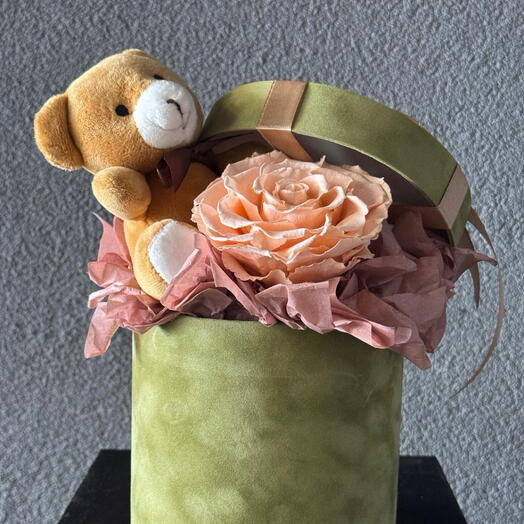 Rose in a velvet box with a bear