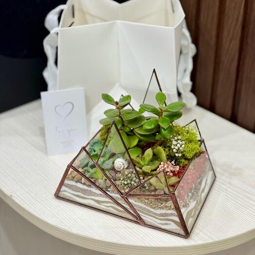 Горы с множеством суккулентов подарок на день рождения