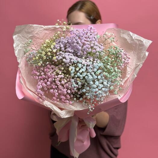 Rainbow gypsophila Monobook