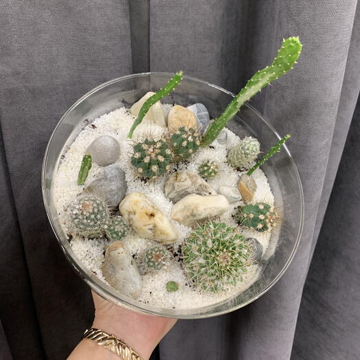 Флорариум ( кактусник)