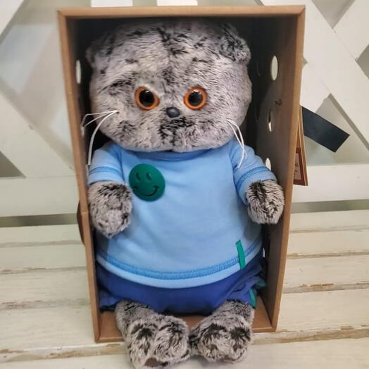 Кот Басик Budi Basa