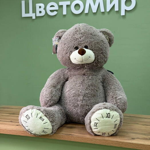 Серый мишка