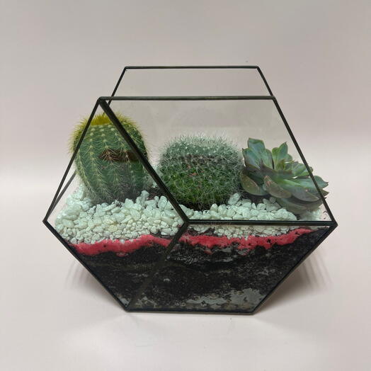 Флорариум стеклянный