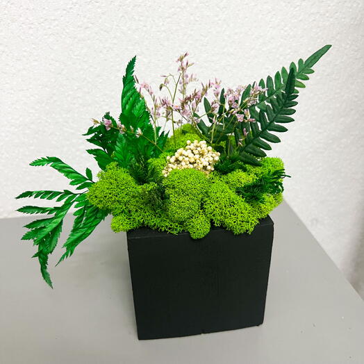 Кашпо со стабилизированным мхом и растениями