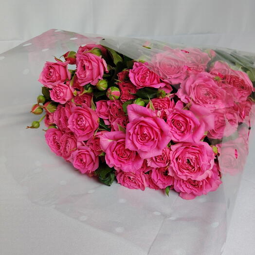 Пачка Кустовые пионовидные розы 10 штук сорт Пинк Дименшен (Pink Dimension), 50 см