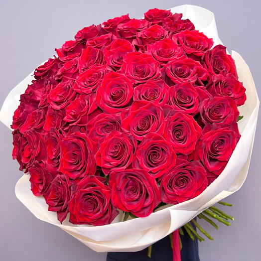 Розы красные букет из 51 розы Эквадор Эксплорер 60 см