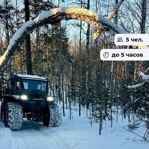 Мастер преград. Тур на снегоболотоходе до Манской петли
