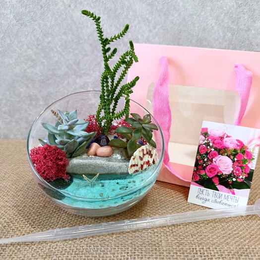 Флорариум мини "Лагуна"