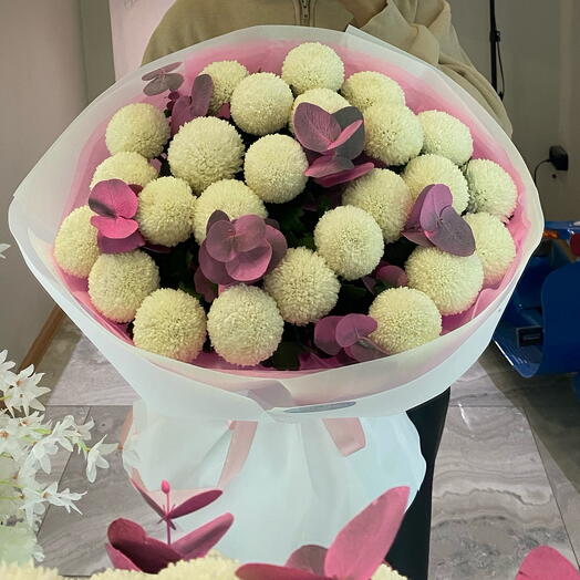 Момоки с цветным эвкалиптом