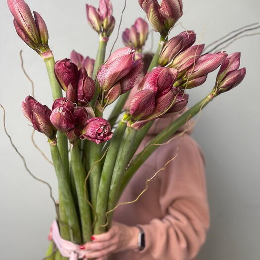 Шикарный букет амариллисов