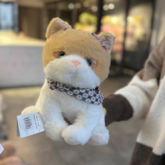 Милый котик ️