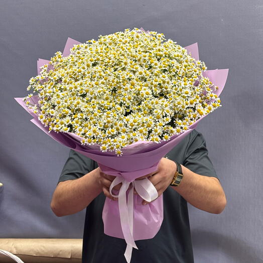 Ромашка🌼51шт