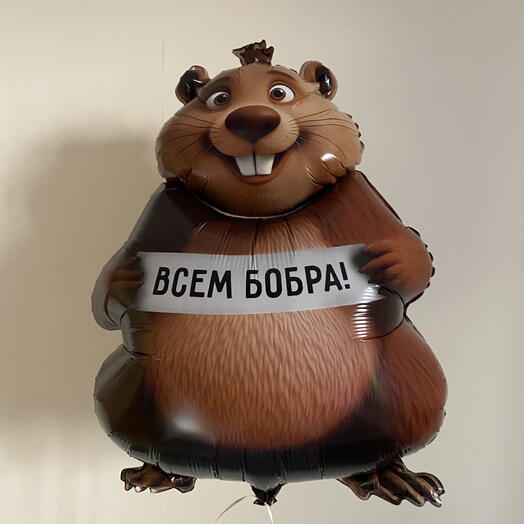 Праздник бобёр в подарок