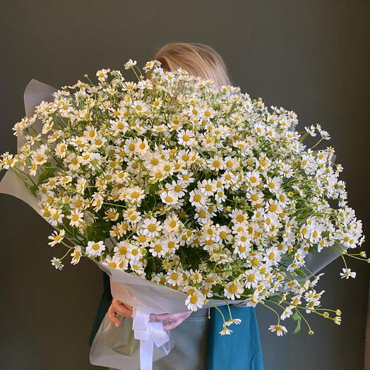 Букет из 25 кустовых ромашек