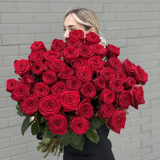 Красные розы 🌹
