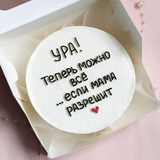 Бенто торт можно всё/ с днём рождения/день рождения/ подруге/сестре / юмор