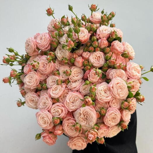 Акция 19 кустовых роз под ленту💞