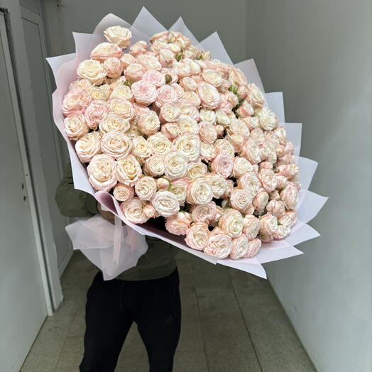 Роза кустовая мадам бабастик