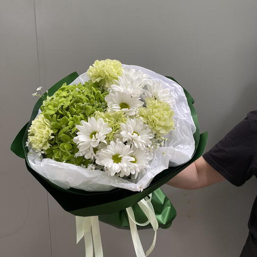 Гортензия хризантема