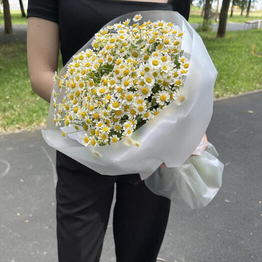 Букет из танацетума ( ромашек) в упаковке матовой
