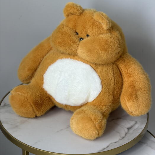 Рыжий кот