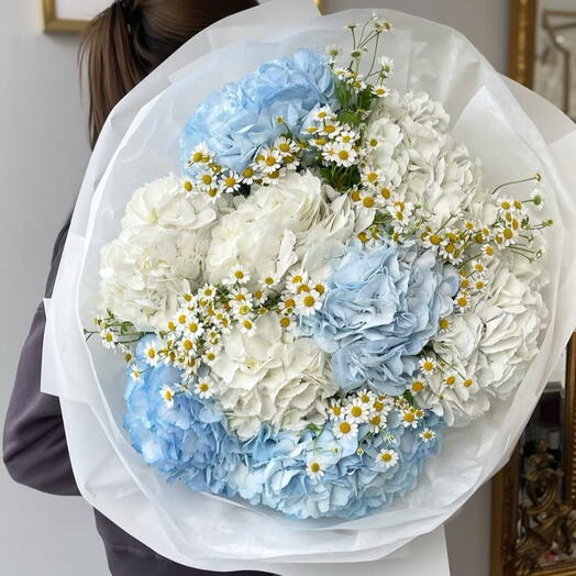 Гортензия с ромашками