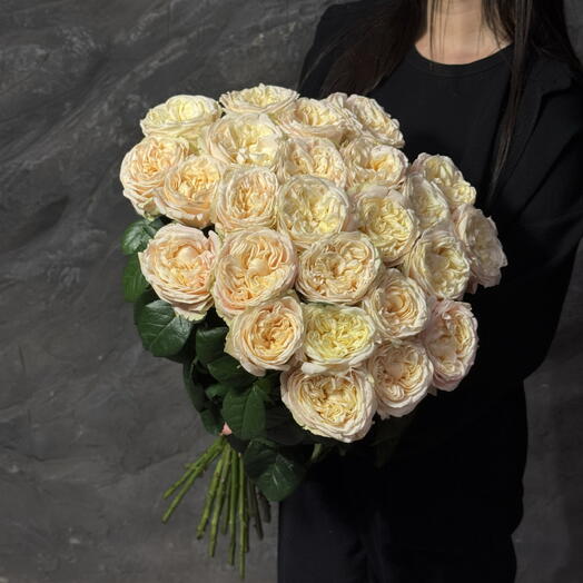 Priscilla 25 (60cm)