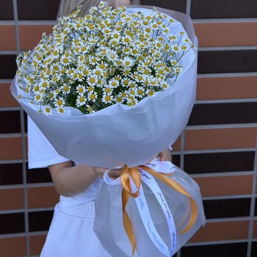 Букет ромашек🌸