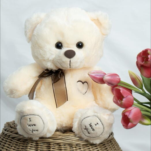 Плюшевый мишка молочный I love you 27 см